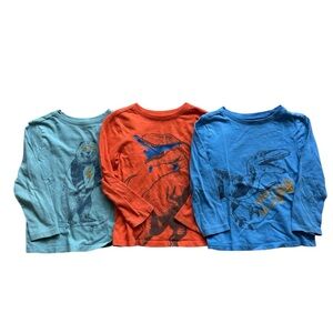 Cat & Jack Boys' 4T Long Sleeve Dinosaur + Bear Graphic Tees Set of 3 Casual